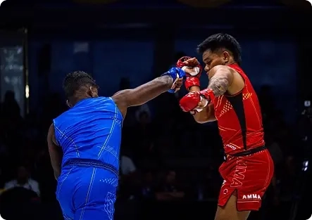 Mixed Martial Arts (MMA)